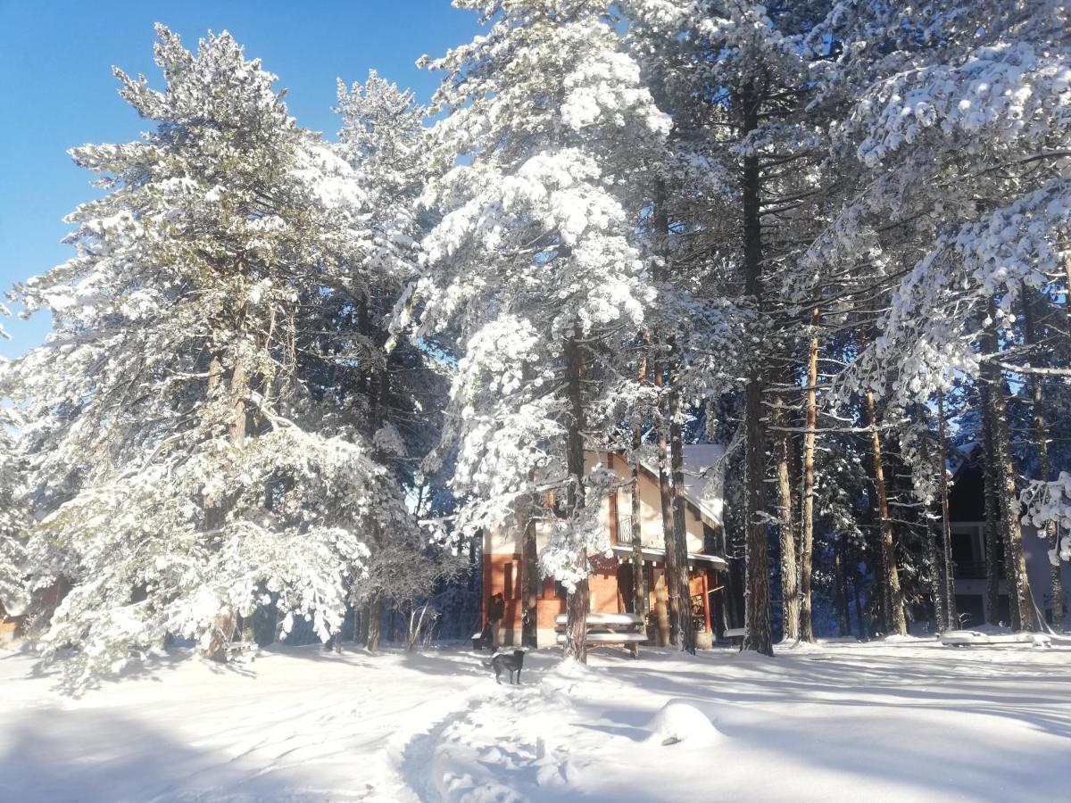 Rustic Home Tara Kaludjerske Bare Bagian luar foto