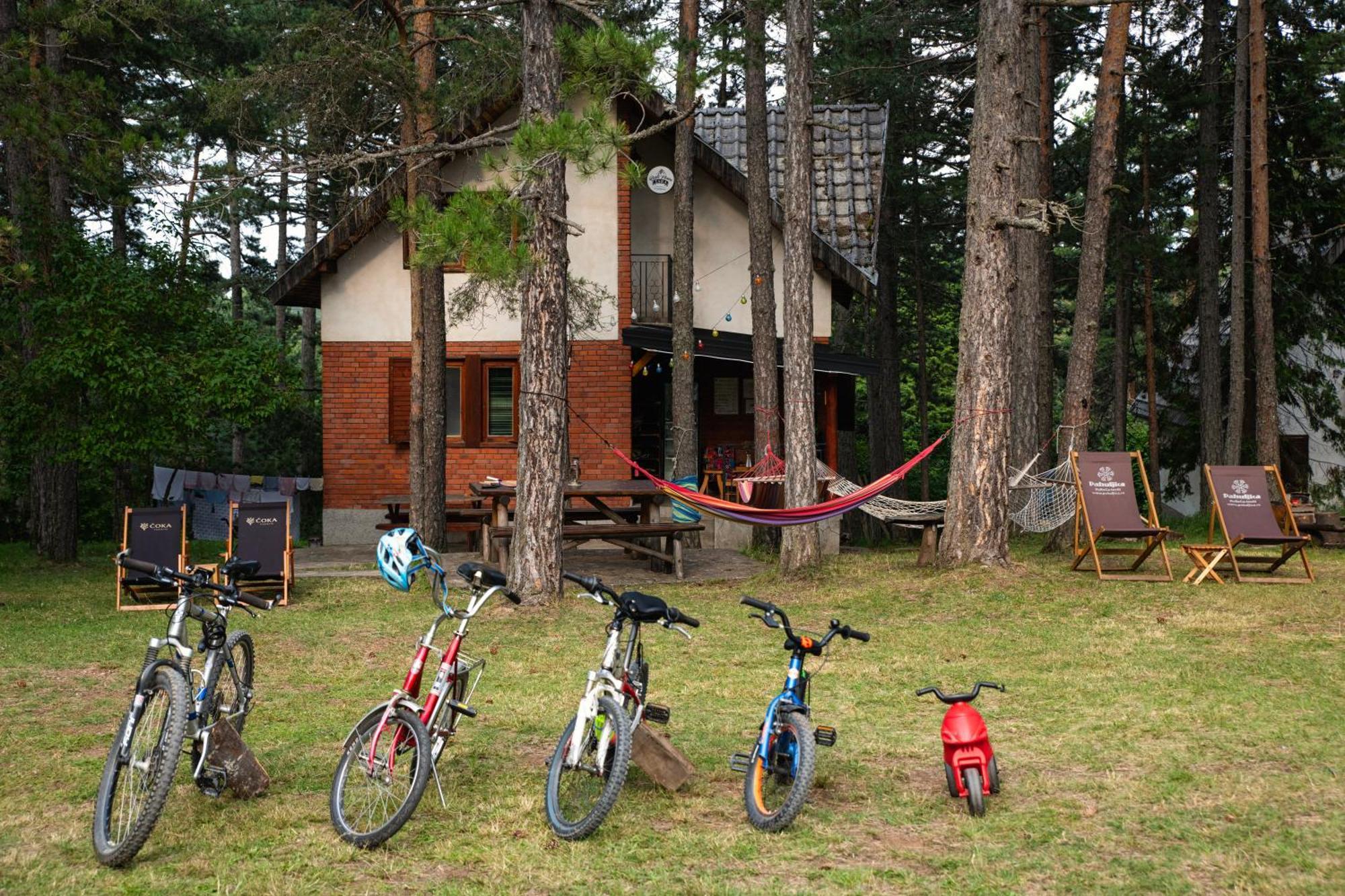 Rustic Home Tara Kaludjerske Bare Bagian luar foto