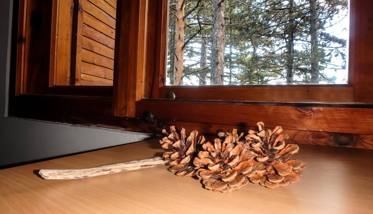Rustic Home Tara Kaludjerske Bare Bagian luar foto